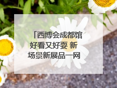西博会成都馆好看又好耍 新场景新展品一网打尽“成都智造”｜西博视界